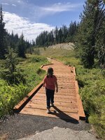 IMG_5231.jpeg IMG_5231.jpeg