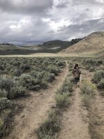 IMG_5243.jpeg IMG_5243.jpeg