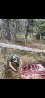 IMG_5374.png IMG_5374.png