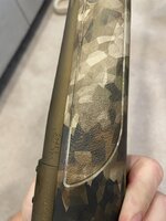 IMG_0231.jpeg