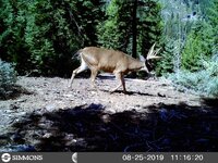 HUNT0103.jpeg
