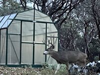 IMG_9069.jpeg