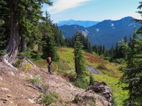 Bear Hunt-6 - Copy.jpg