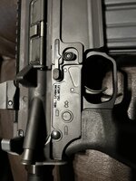 IMG_7211.jpeg
