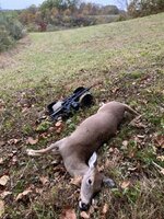 IMG_1939.jpeg