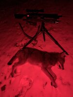 IMG_0555.jpeg
