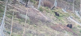 20230510_202932.jpg