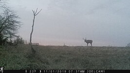 IMG_0545.JPG