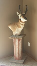 20150602_084710.jpg
