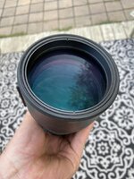 IMG_3343.jpeg
