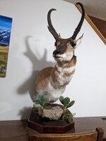 PXL_20221031_013729576.MP.jpg