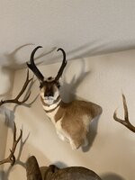 IMG_7440.jpeg