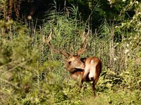 IMG-20230906-WA0006(1).jpg IMG-20230906-WA0006(1).jpg