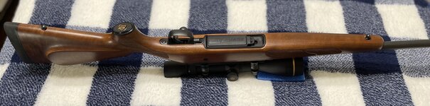 IMG_2730.jpg