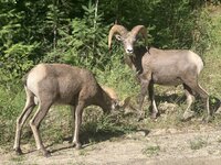 IMG_0648.JPG