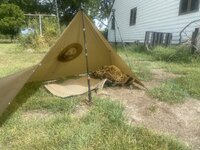 IMG_4938.jpeg