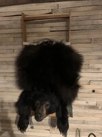 IMG_6414.jpeg
