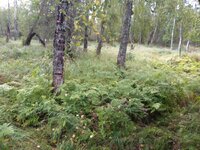 20230905_092754.jpg