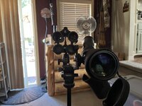 IMG_0709.JPEG