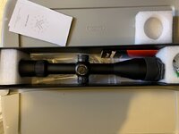 IMG_7334.jpeg