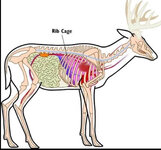 IMG_9158.jpeg IMG_9158.jpeg