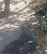 IMG_8339.jpeg