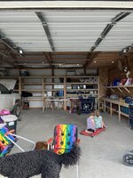 IMG_1610.jpeg
