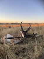 IMG_6224.jpeg