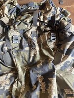 IMG_2964.jpeg