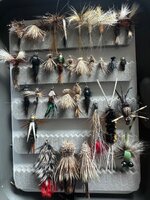 IMG_7977.jpg