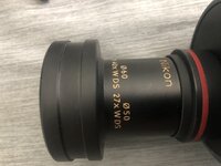 IMG_5191.jpeg