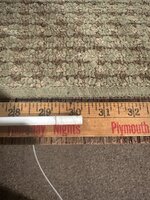 IMG_1104.jpeg