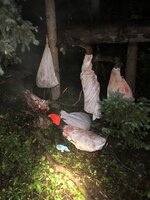 elkmeat23.jpg