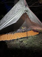 IMG_2315.jpeg