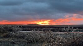 IMG_7091.jpeg
