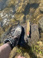 IMG_8205.jpeg