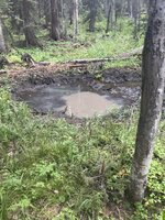 IMG_8208.jpeg