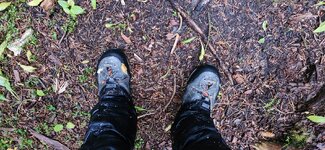 20230921_181533[1].jpg