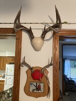 IMG_1112.jpeg
