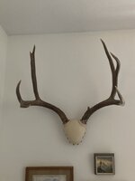 IMG_1110.jpeg