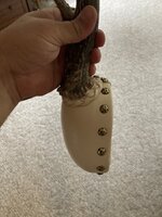 IMG_1114.jpeg