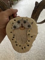 IMG_1113.jpeg