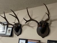 IMG_0653.jpeg