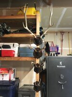 IMG_0802.jpeg