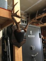 IMG_0799.jpeg