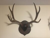 IMG_0386.jpeg