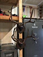 IMG_0384.jpeg