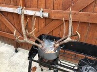 IMG_0375.jpeg