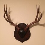 IMG_0280.jpeg