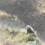 IMG_6962.jpeg
